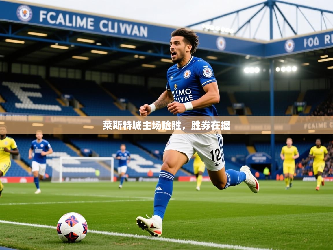2025华体会登录最新登录地址莱斯特城主场险胜，胜券在握  第3张