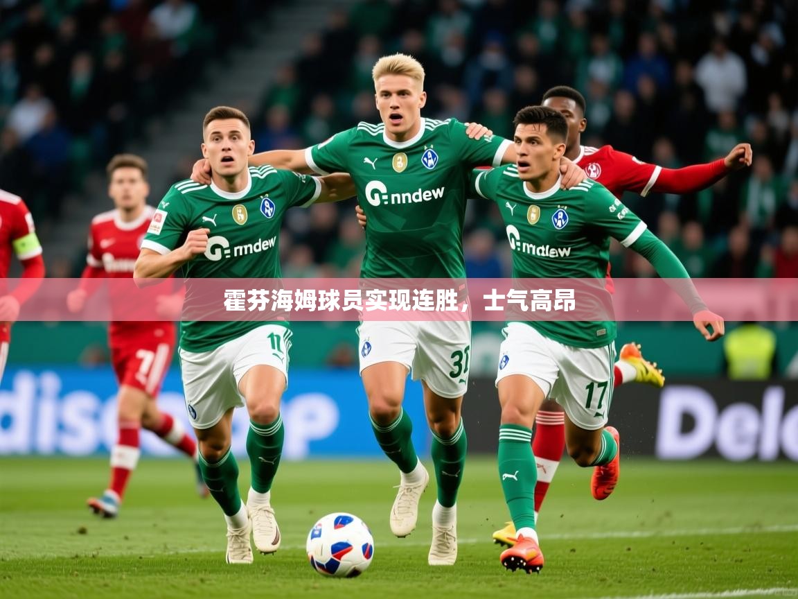 2026华体会登录入口霍芬海姆球员实现连胜，士气高昂  第3张