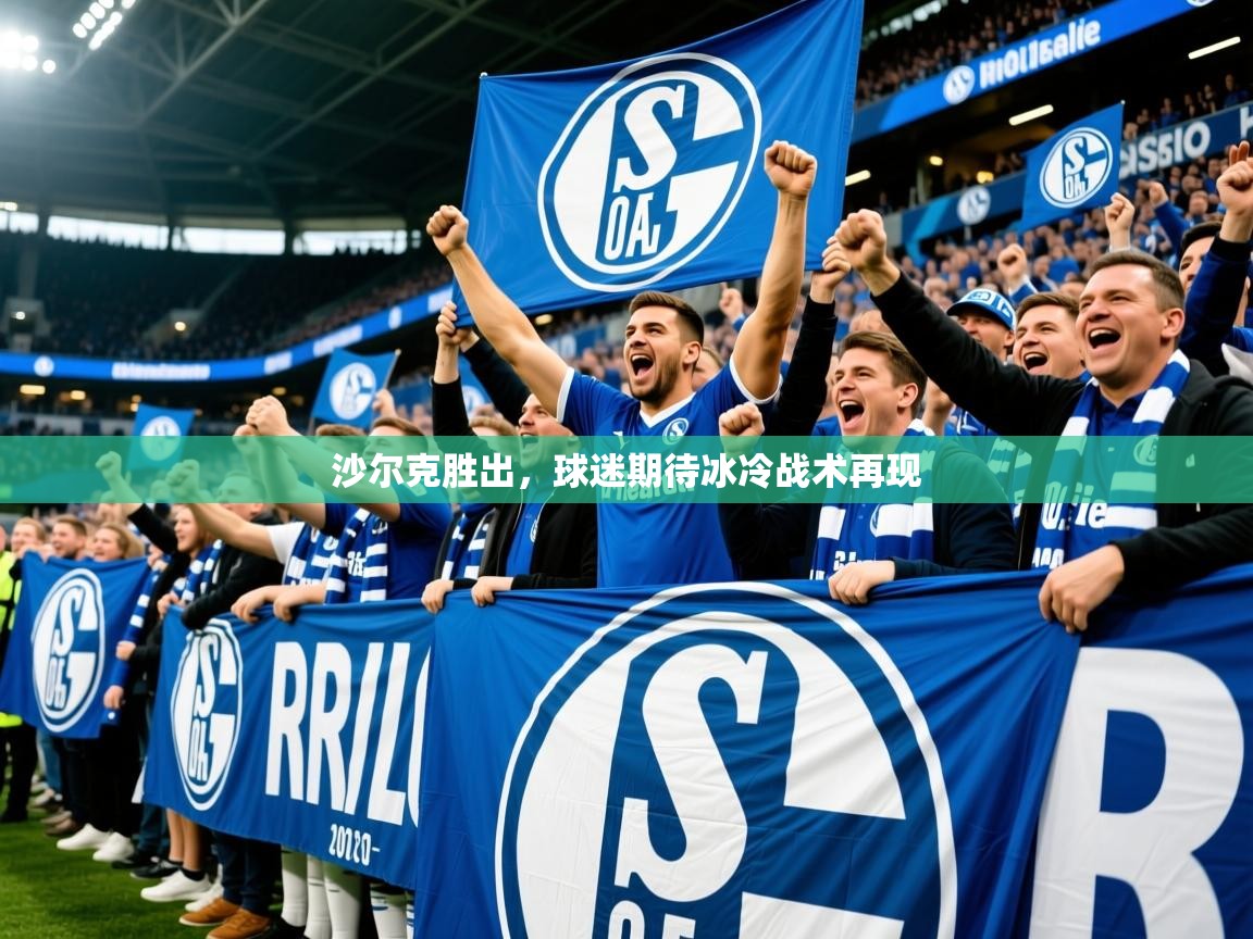 2026华体会登录手机版最新沙尔克胜出,球迷期待冰冷战术再现 第1张