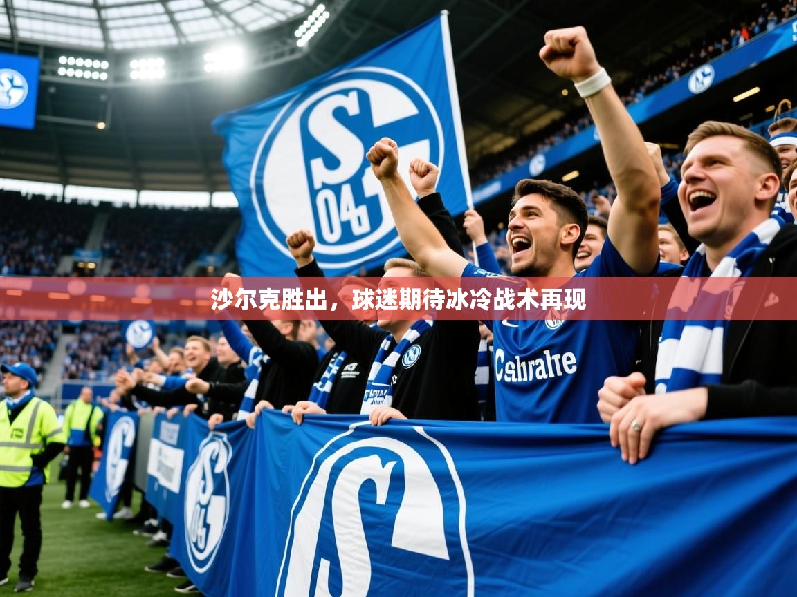 2026华体会登录手机版最新沙尔克胜出,球迷期待冰冷战术再现 第4张