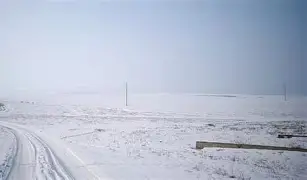 大巴黎铁卫出奇制胜，乌克兰勒阿拉卡的简单介绍