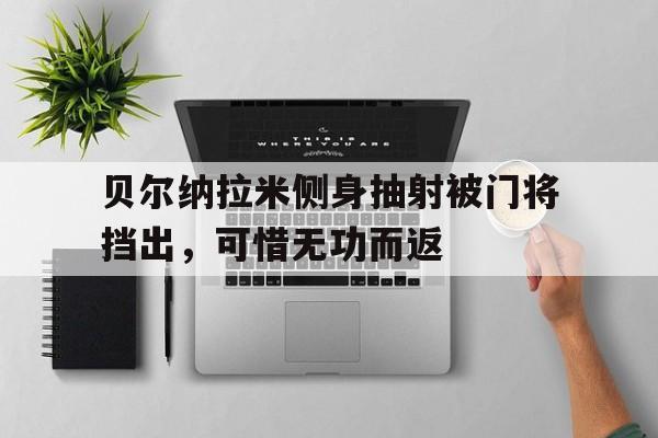 华体会体育官网入口-贝尔纳拉米侧身抽射被门将挡出，可惜无功而返的简单介绍