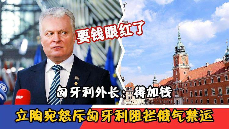 立陶宛国家队客场输给匈牙利队